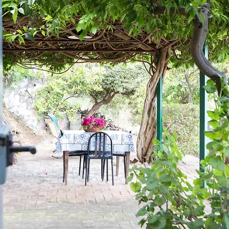 Mare In Vista - Free Parking - Wifi 100metri Dal Mare *